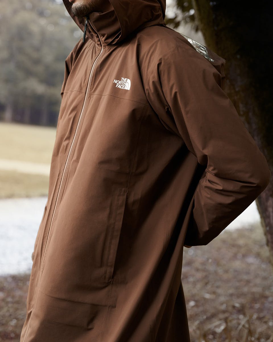 the north face brown